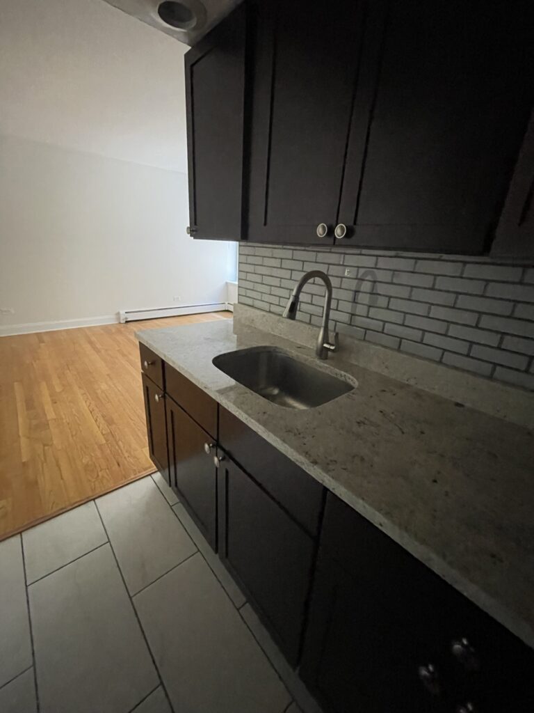 6830 N Sheridan Rd #263 — photo 5