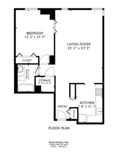 100 W. Chestnut #1205, Chicago, IL