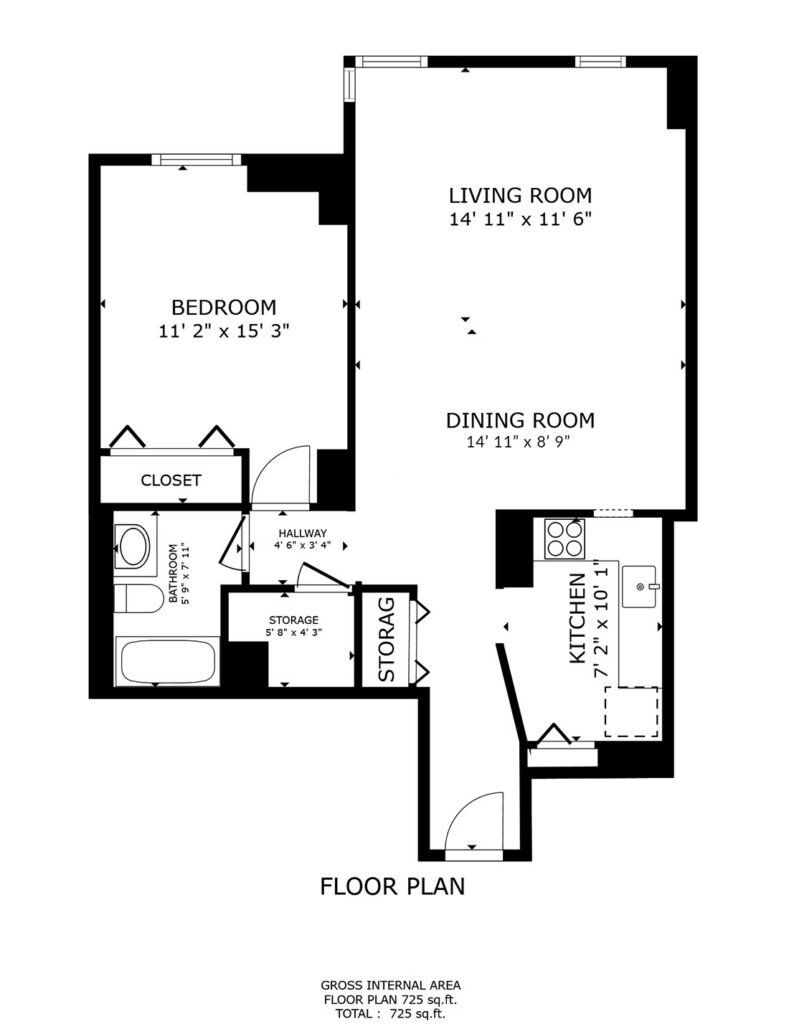 100 W. Chestnut #2404, Chicago, IL