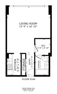 3130 N. Lake Shore Drive #1705, Chicago, IL